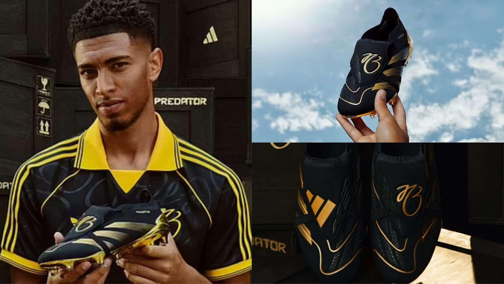 贝利的成绩 贝利的成绩