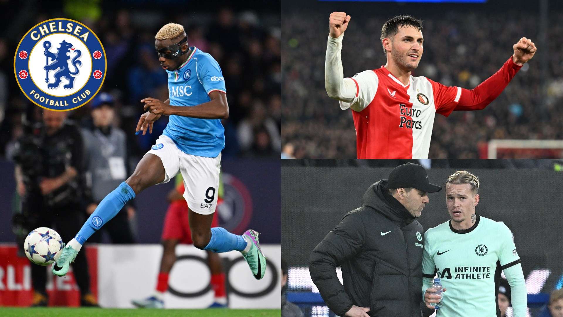 追求變化並 追求變化並